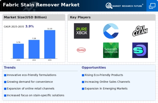 Fabric Stain Remover Market Infographic