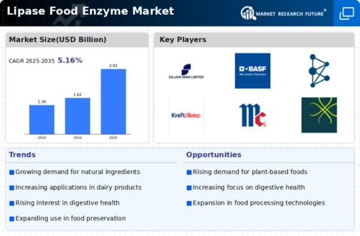 Lipase Food Enzyme Market Infographic