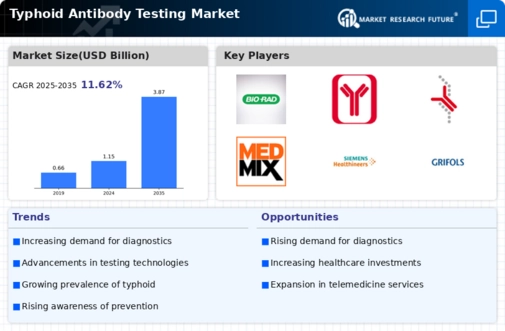 Typhoid Antibody Testing Market
 Infographic