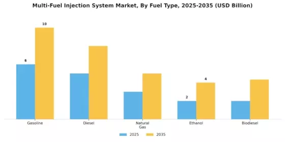 Multi Fuel Injection System Market Segment Image 0