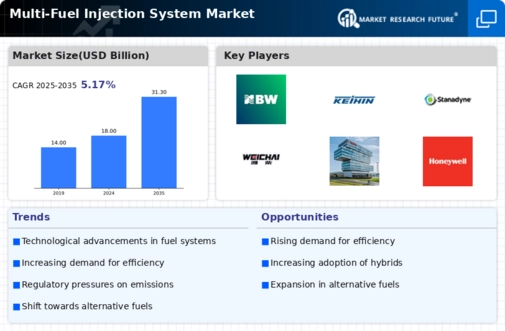 Multi Fuel Injection System Market Infographic