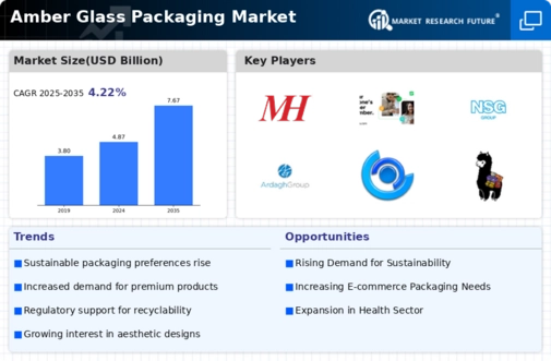Amber Glass Packaging Market Infographic