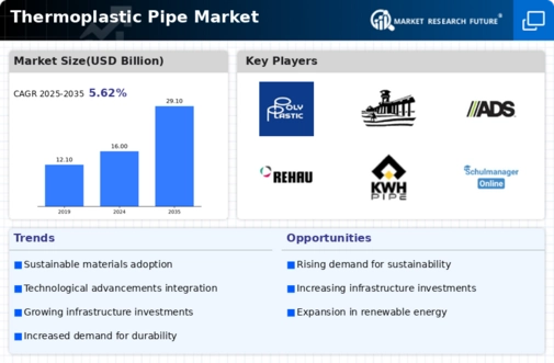 Thermoplastic Pipe Market Infographic