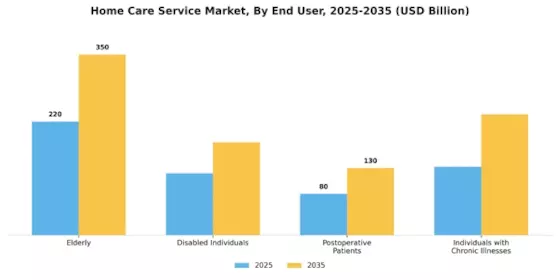 Home Care Service Market Segment Image 1