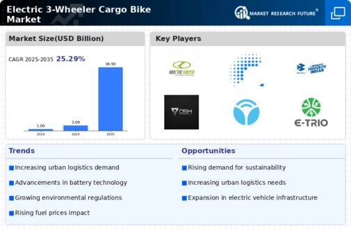Electric 3 Wheeler Cargo Bike Market Infographic
