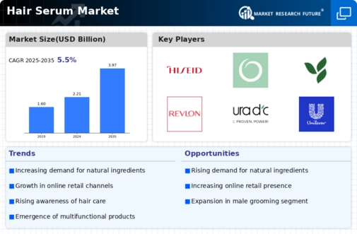 Hair Serum Market  Infographic
