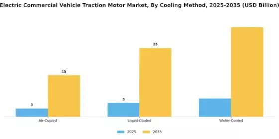 Electric Commercial Vehicle Traction Motor Market Segment Image 3
