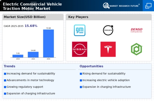 Electric Commercial Vehicle Traction Motor Market Infographic