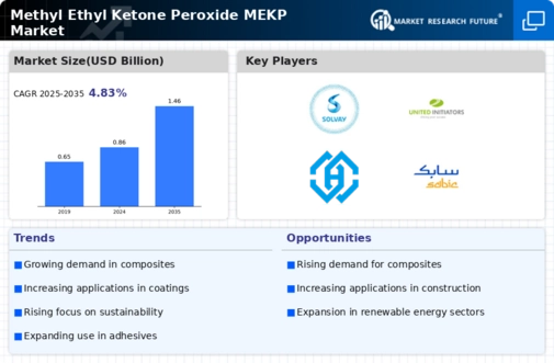 Methyl Ethyl Ketone Peroxide Market  Infographic