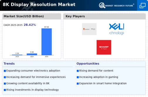 8K Display Resolution Market Infographic