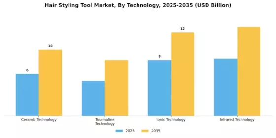 Hair Styling Tool Market  Segment Image 1