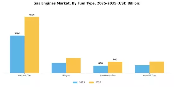 Gas Engines Market Segment Image 1