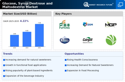 Glucose Syrup Dextrose Maltodextrin Market Infographic