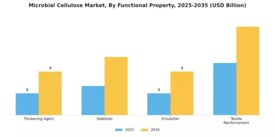 Microbial Cellulose Market Segment Image 3