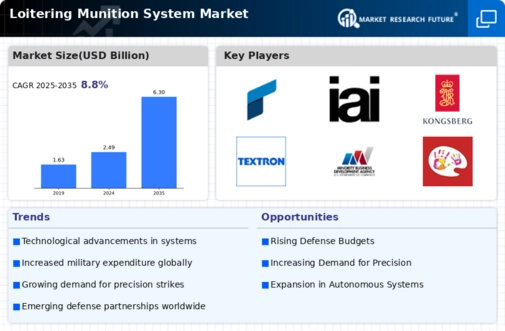Loitering Munition System Market
 Infographic