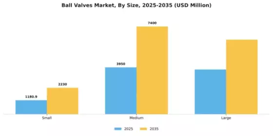 Ball Valves Market Segment Image 3