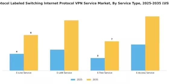 Multi Protocol Labelled Switching Internet Protocol Vpn Service Market Segment Image 0