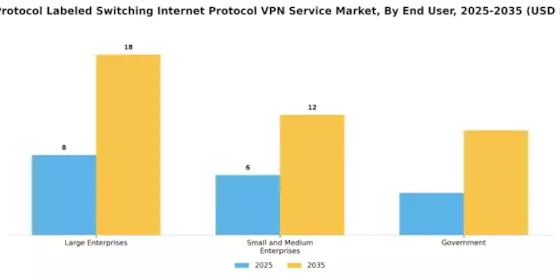 Multi Protocol Labelled Switching Internet Protocol Vpn Service Market Segment Image 1