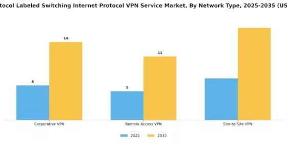 Multi Protocol Labelled Switching Internet Protocol Vpn Service Market Segment Image 3