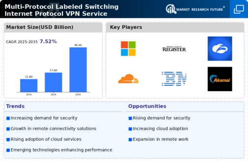 Multi Protocol Labelled Switching Internet Protocol Vpn Service Market Infographic