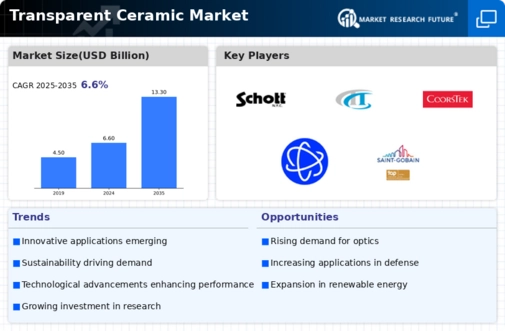 Transparent Ceramic Market Infographic