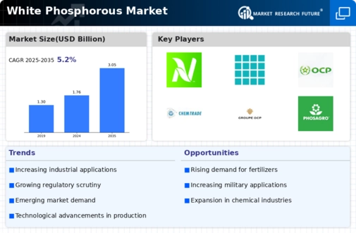 White Phosphorus Market Infographic