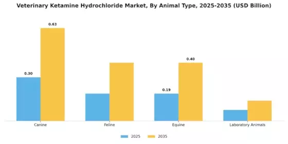 Veterinary Ketamine Hydrochloride Market Segment Image 2