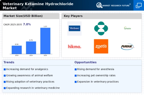 Veterinary Ketamine Hydrochloride Market Infographic