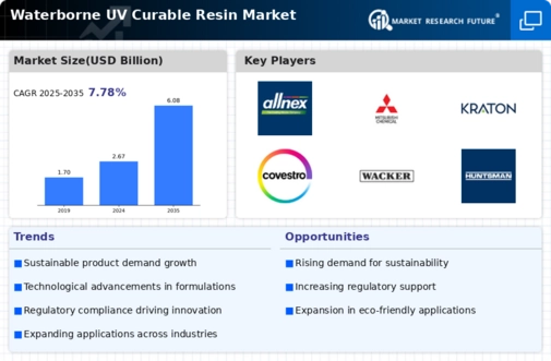Waterborne Uv Curable Resin Market Infographic