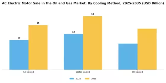 AC Electric Motor Sale Oil Gas Market Segment Image 1