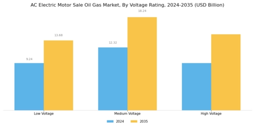 AC Electric Motor Sale Oil Gas Market Segment Image 3