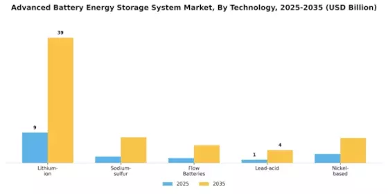 Advanced Battery Energy Storage System Market Segment Image 1