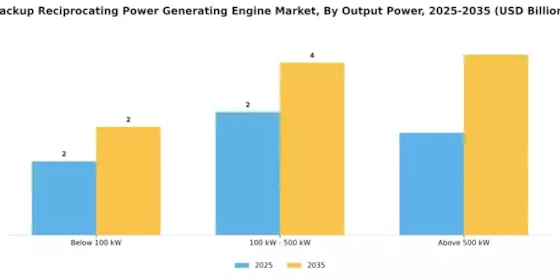 Backup Reciprocating Power Generating Engine Market Segment Image 3