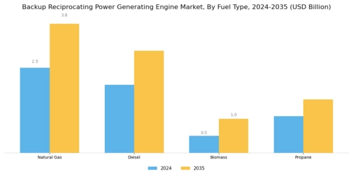 Backup Reciprocating Power Generating Engine Market Segment Image 1