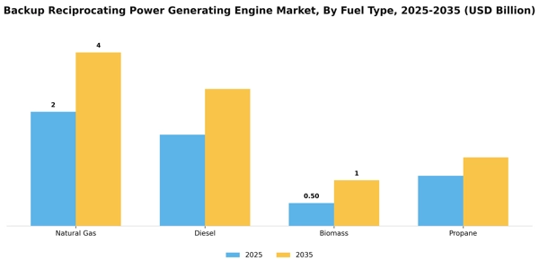 Backup Reciprocating Power Generating Engine Market Segment Image 2