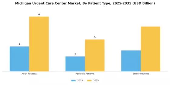 Michigan Urgent Care Center Market Segment Image 1