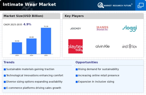Intimate Wear Market Infographic