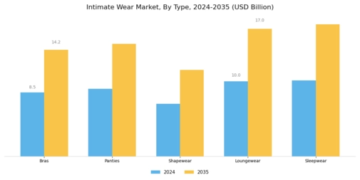 Intimate Wear Market Segment Image 0