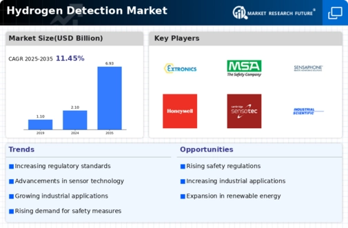 Hydrogen Detection Market Infographic