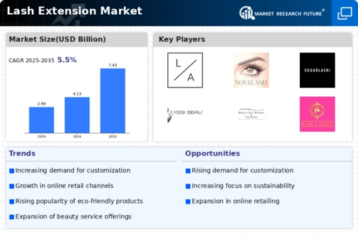 Lash Extension Market Infographic