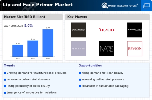 Lip And Face Primer Market Infographic
