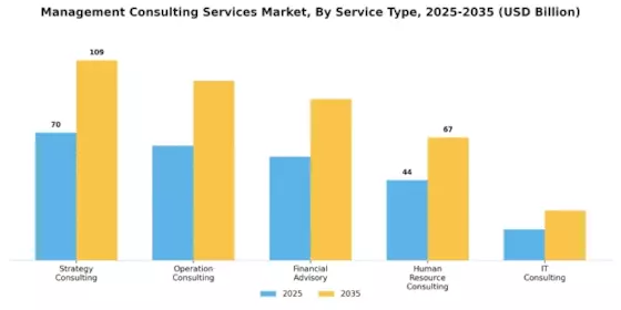 Management Consulting Services Market Segment Image 0