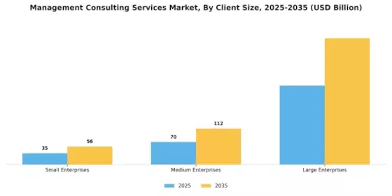 Management Consulting Services Market Segment Image 2