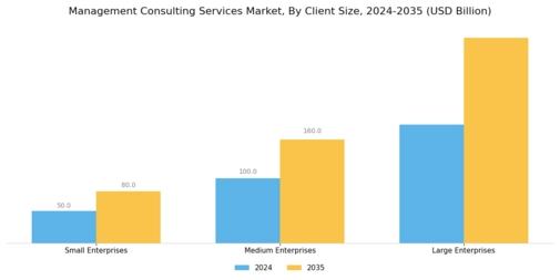 Management Consulting Services Market Segment Image 2