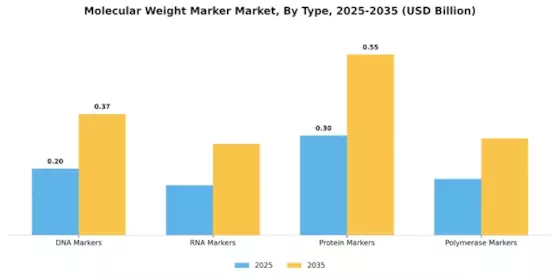 Molecular Weight Marker Market Segment Image 0