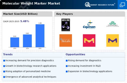 Molecular Weight Marker Market Infographic