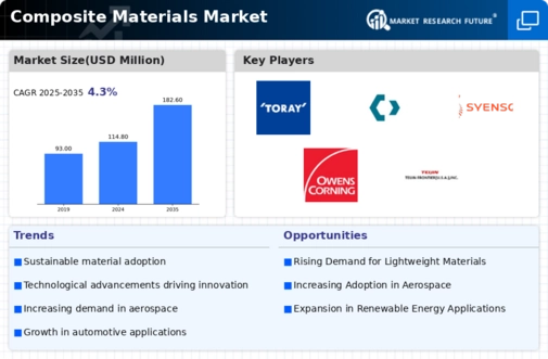 Composite Material Market Infographic