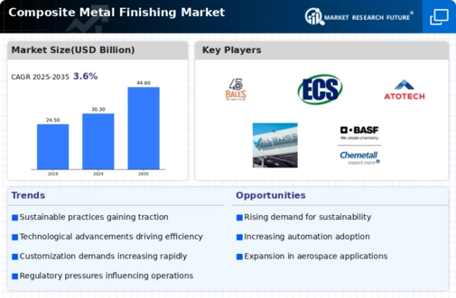 Composite Metal Finishing Market Infographic