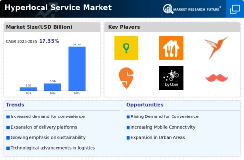 Hyperlocal Service Market Infographic