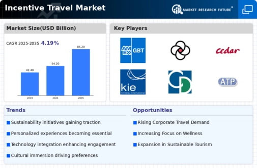 Incentive Travel Market Infographic